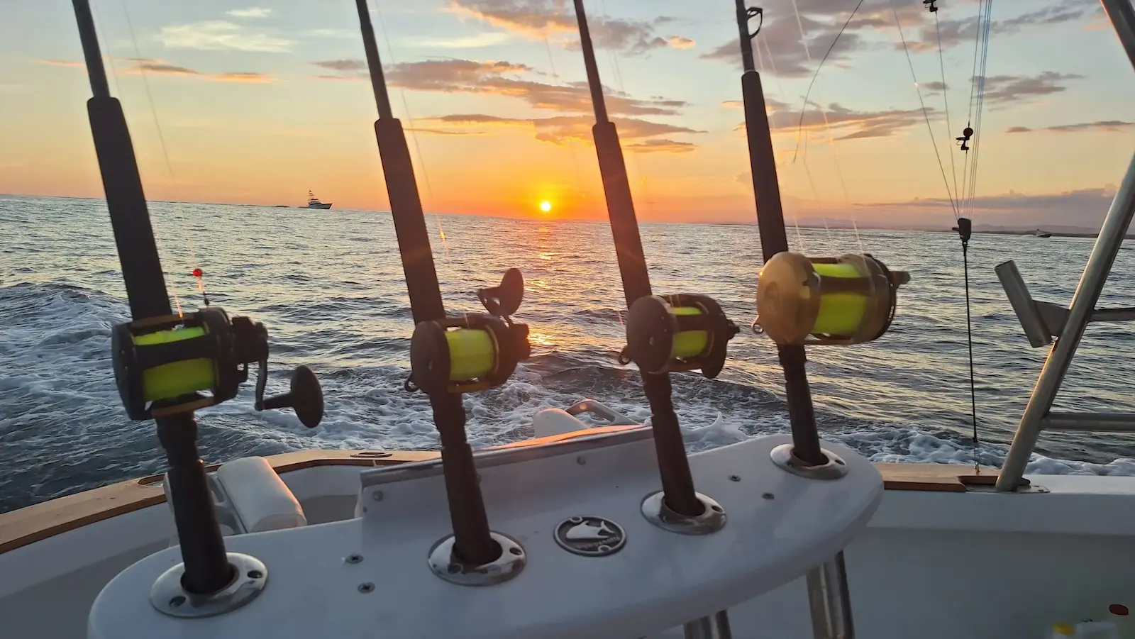 3/4-day offshore fishing charter in the deep blue off Quepos, Costa Rica
